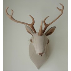 Deer Trophy with brown antlers Deer Trophy with brown antlers